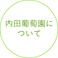 内田葡萄園について